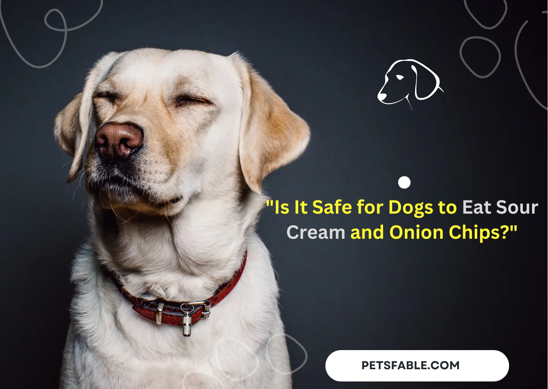 Onion Chips