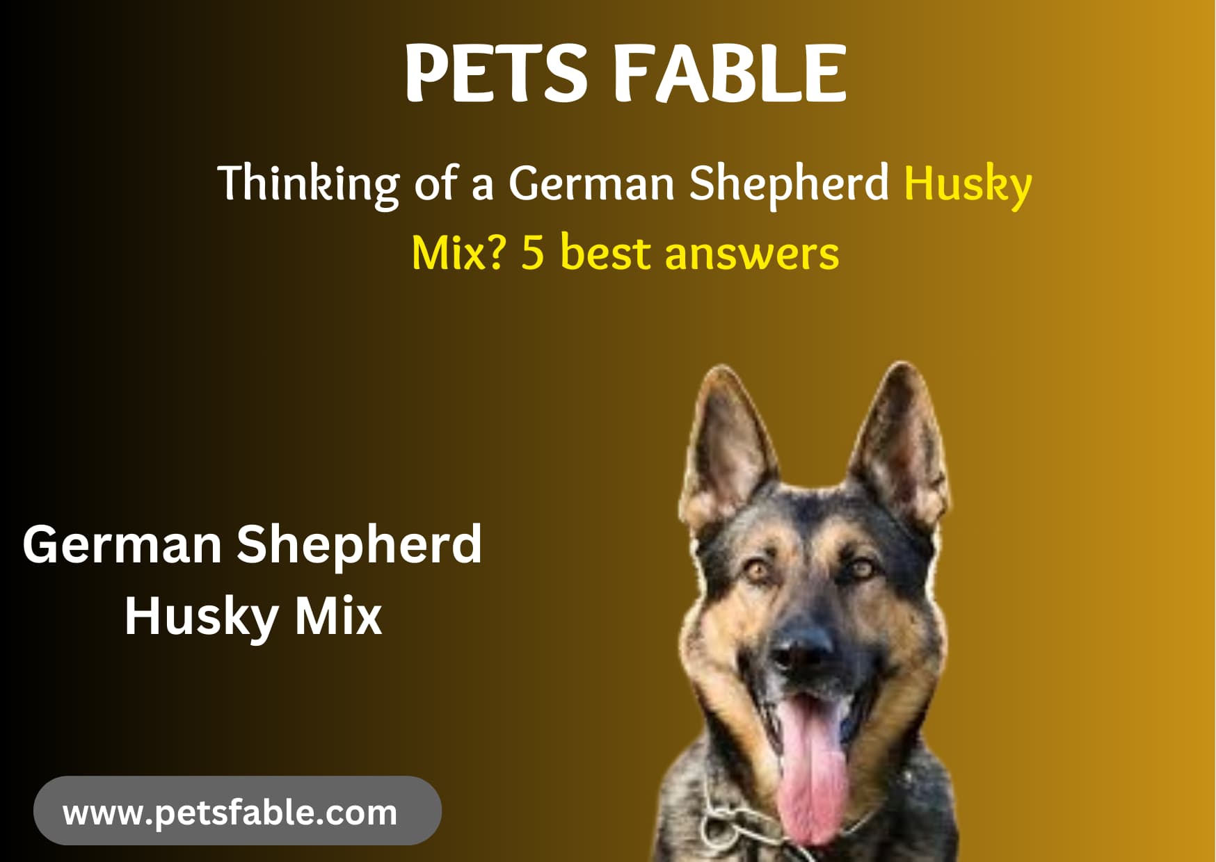 German Shepherd