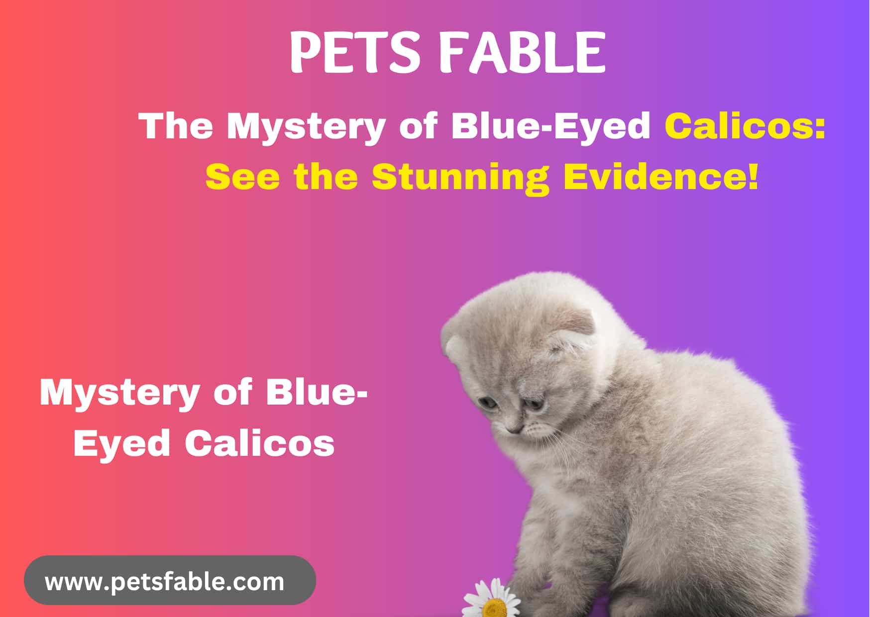 Blue-Eyed Calicos