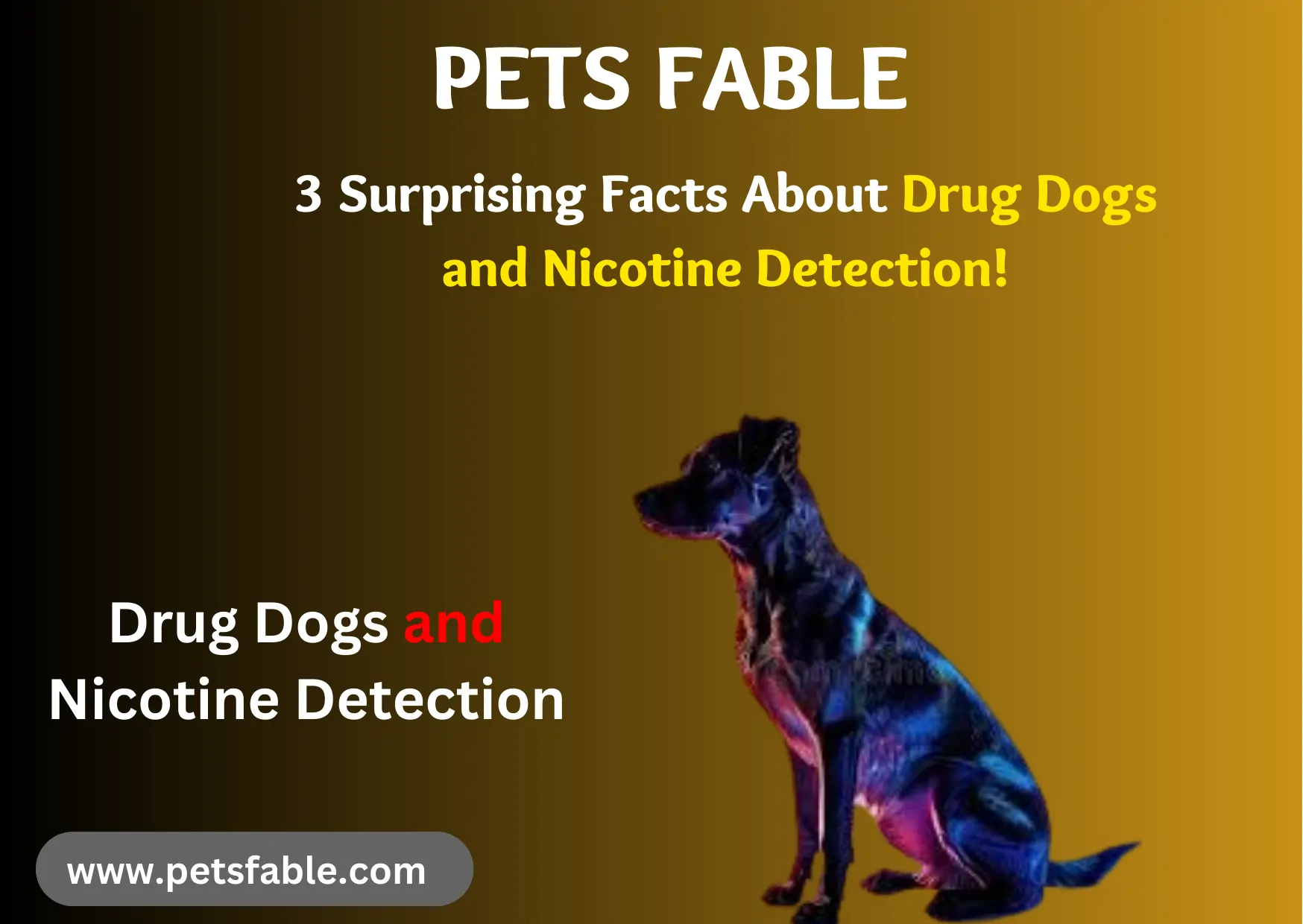 Drug Dogs