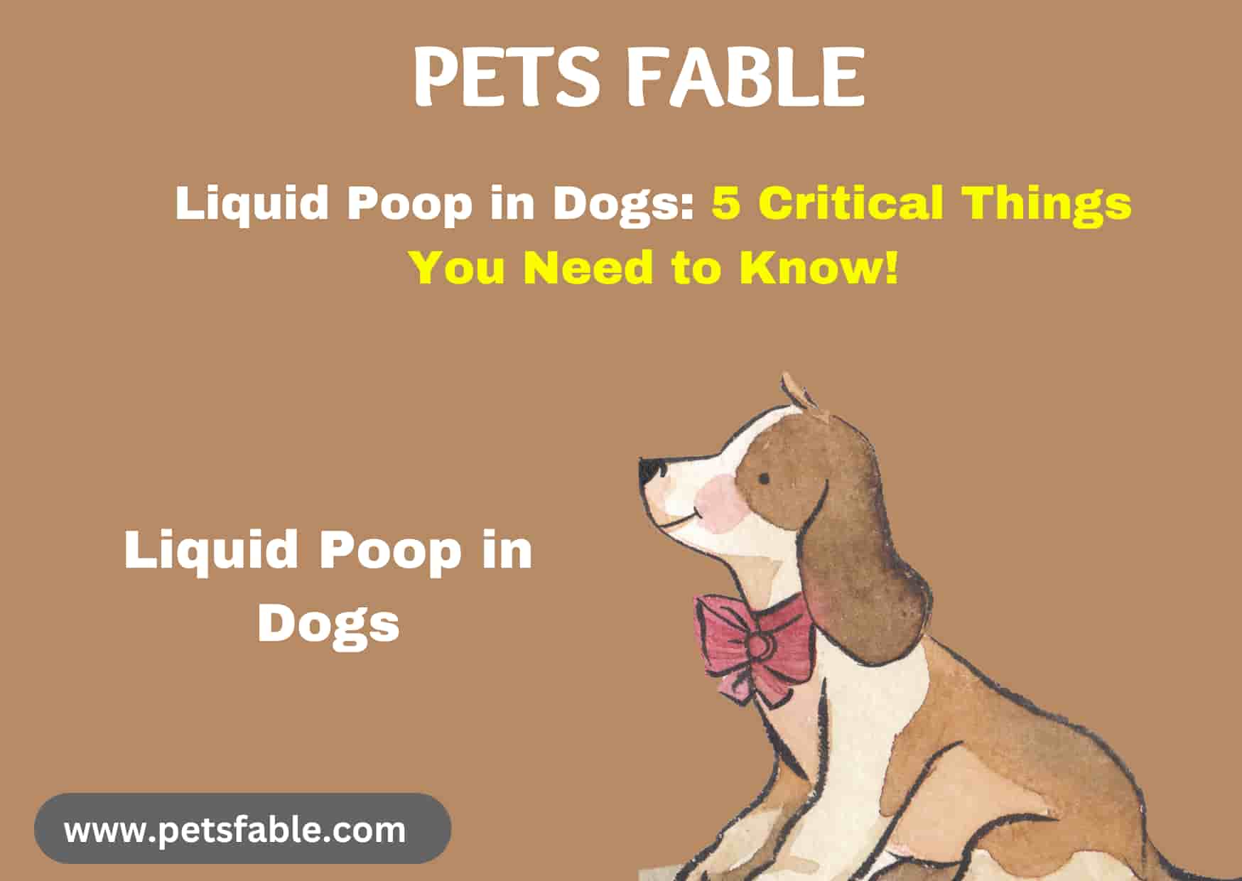Liquid Poop
